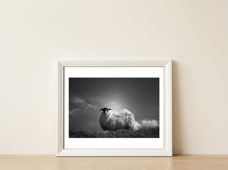 le fluff — framed, leaning against the wall