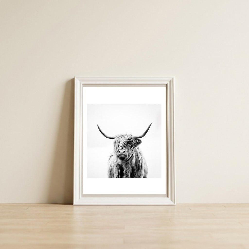 portrait of a highland cow — framed, leaning against the wall