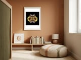 Metamorphosis framed in a gentle room thumbnail