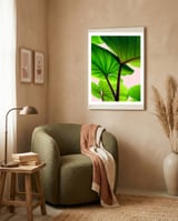 Charming Sequence framed in a tender room thumbnail