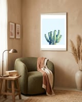 Cactus framed in a tender room thumbnail