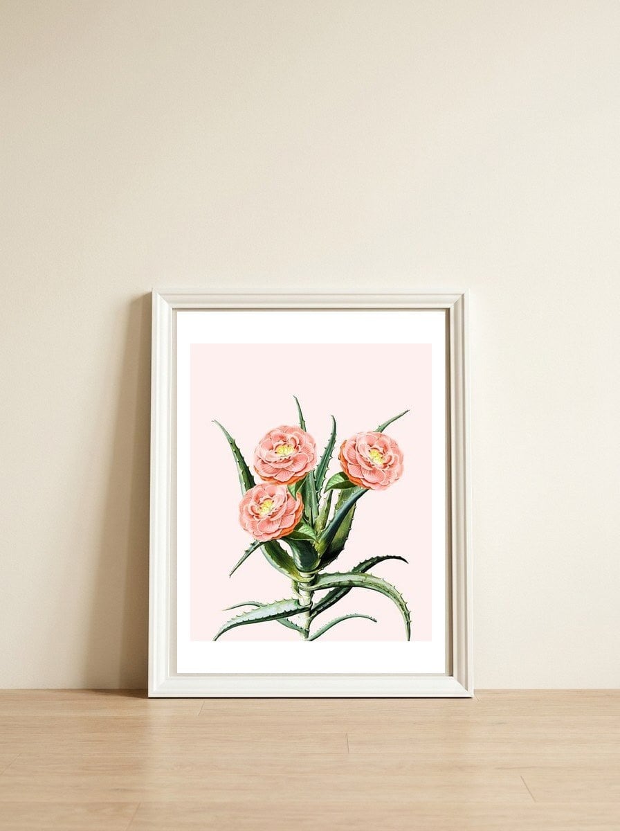 Blush Cactus V2 — framed, leaning against the wall