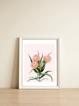 Blush Cactus V2 — framed, leaning against the wall thumbnail