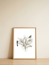 Garden Birds — framed, leaning against the wall thumbnail