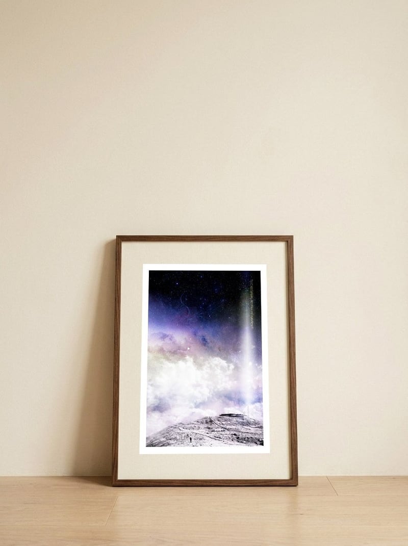 Signal — framed, leaning against the wall