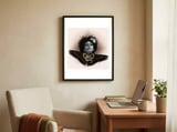 h65 framed in a focused room thumbnail