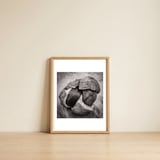 Double Conker — framed, leaning against the wall thumbnail