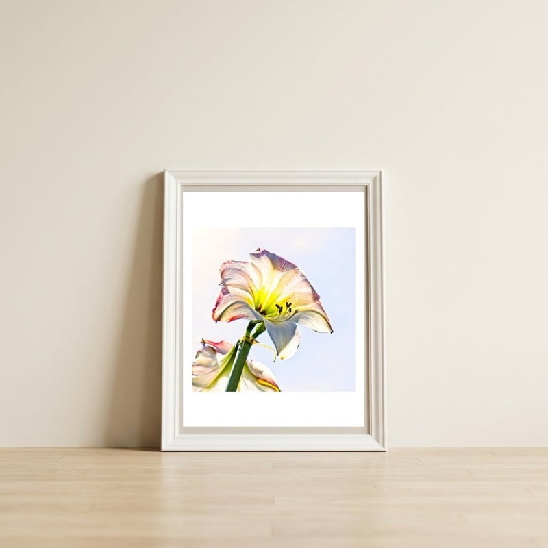 Amaryllis 2 — framed, leaning against the wall