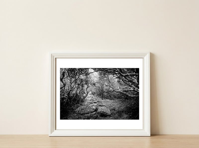 Undergrowth in black and white — framed, leaning against the wall