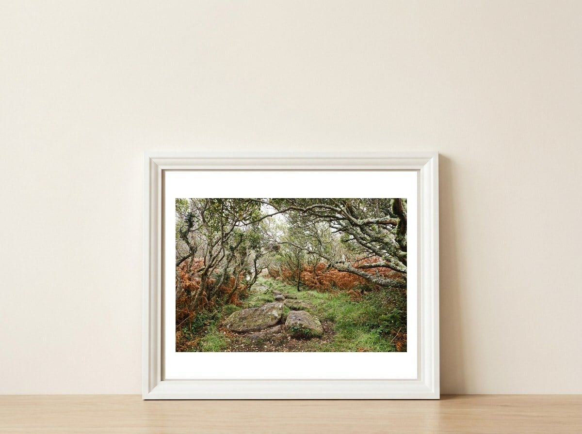 Undergrowth — framed, leaning against the wall