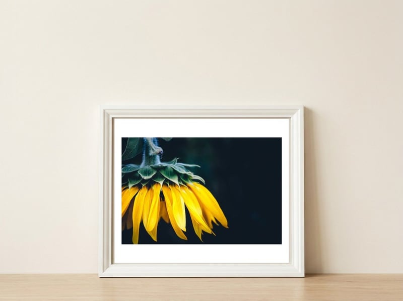 Sunflower Detail 1 — framed, leaning against the wall