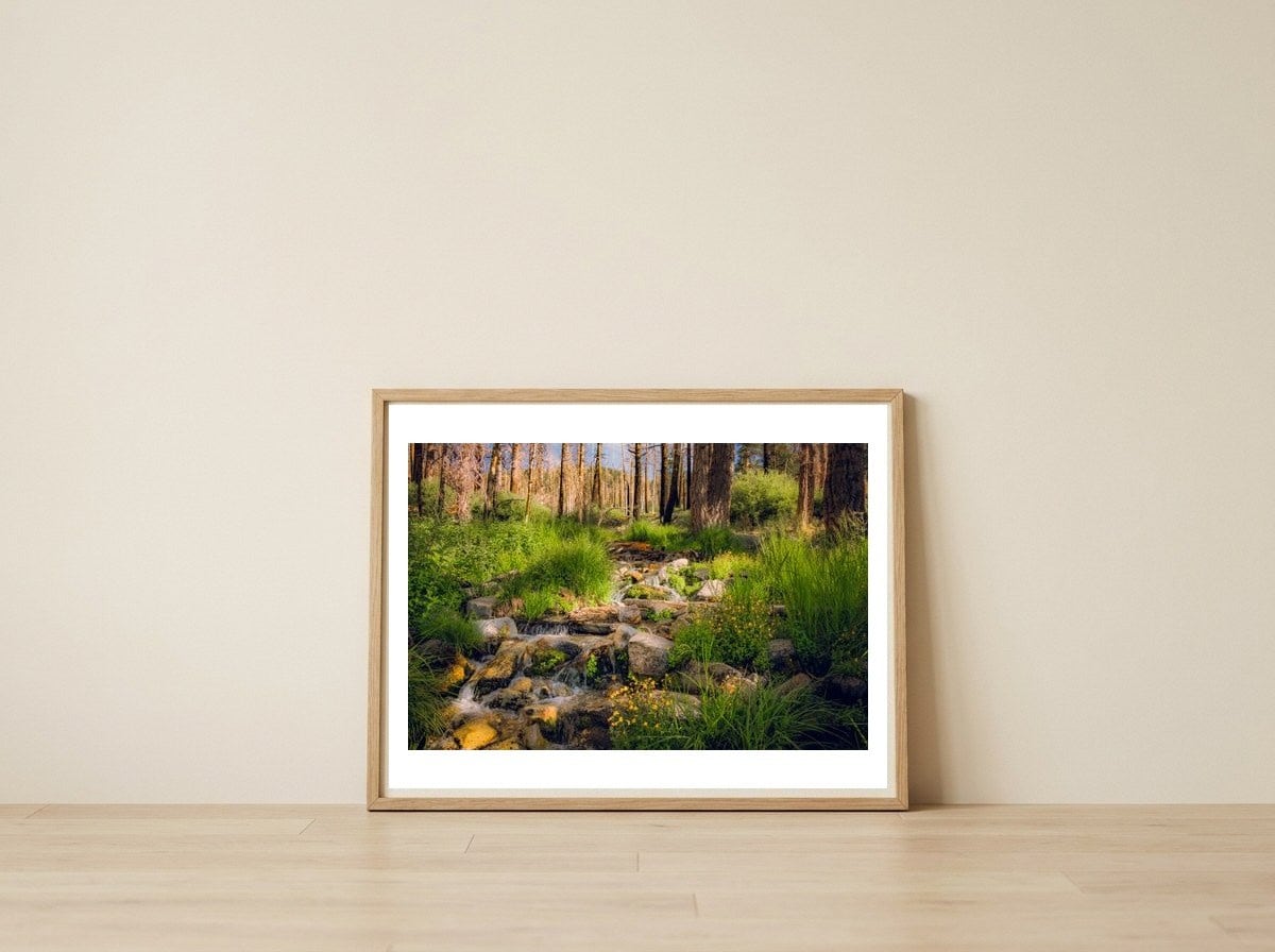 San Gorgonio Stream — framed, leaning against the wall