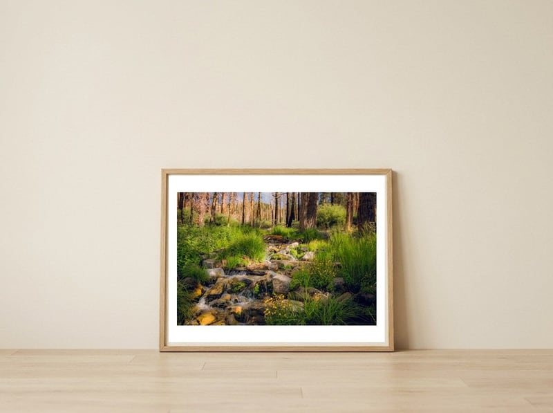 San Gorgonio Stream — framed, leaning against the wall