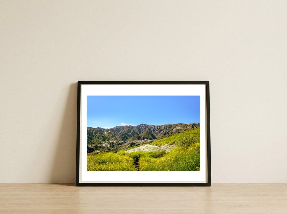 Alexander Peak — framed, leaning against the wall