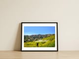 Alexander Peak — framed, leaning against the wall thumbnail