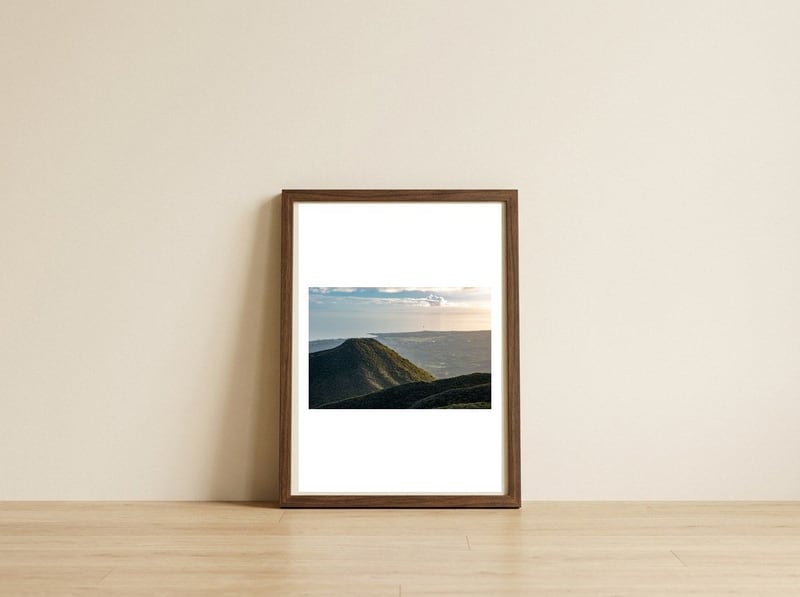 Camino Cielo  — framed, leaning against the wall