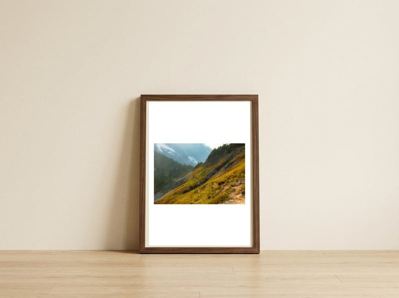 Cascade Pass — framed, leaning against the wall