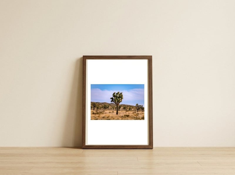 Joshua Tree — framed, leaning against the wall