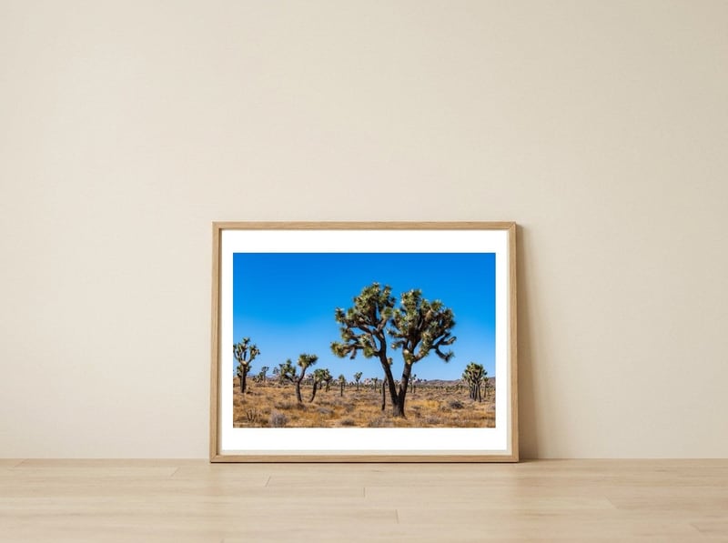 Joshua Trees — framed, leaning against the wall