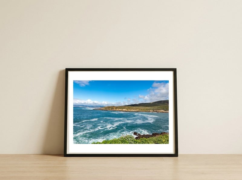 Montana De Oro — framed, leaning against the wall