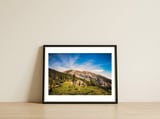 Mt Baldy — framed, leaning against the wall thumbnail