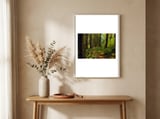 Old Growth Forest framed in a welcoming room thumbnail