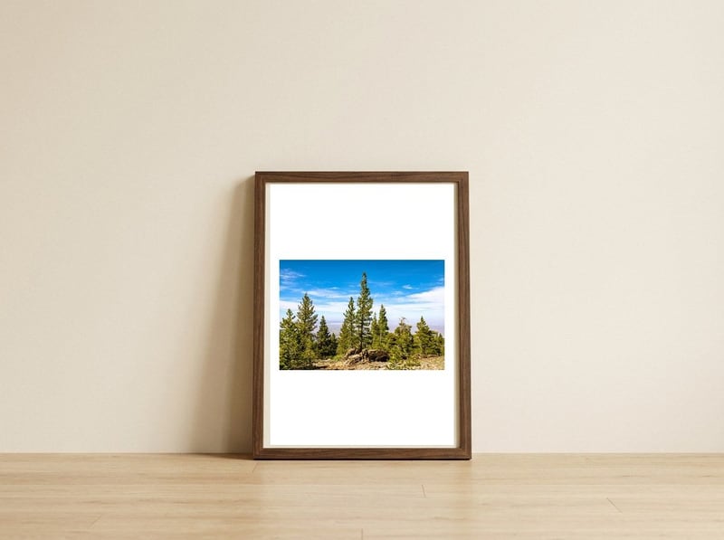 Pine Mountain — framed, leaning against the wall