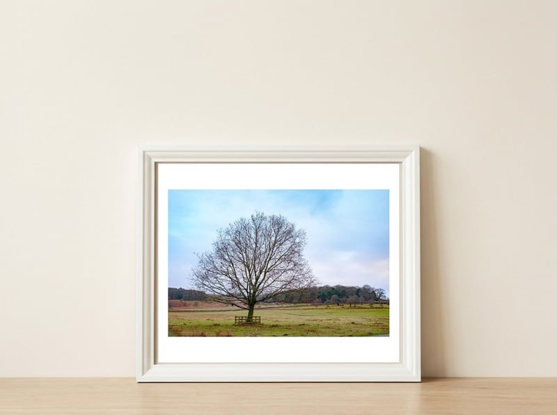 Young Oak Tree in Winter — framed, leaning against the wall