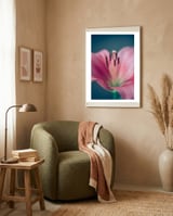 Allure framed in a tender room thumbnail