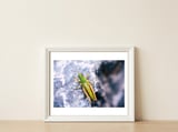 Acid Green — framed, leaning against the wall thumbnail