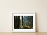 Reidholz — framed, leaning against the wall thumbnail