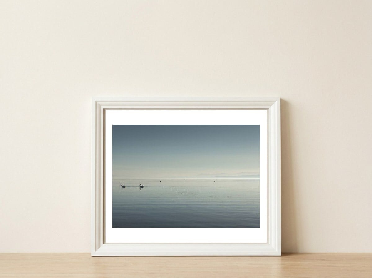 The Salton Sea — framed, leaning against the wall