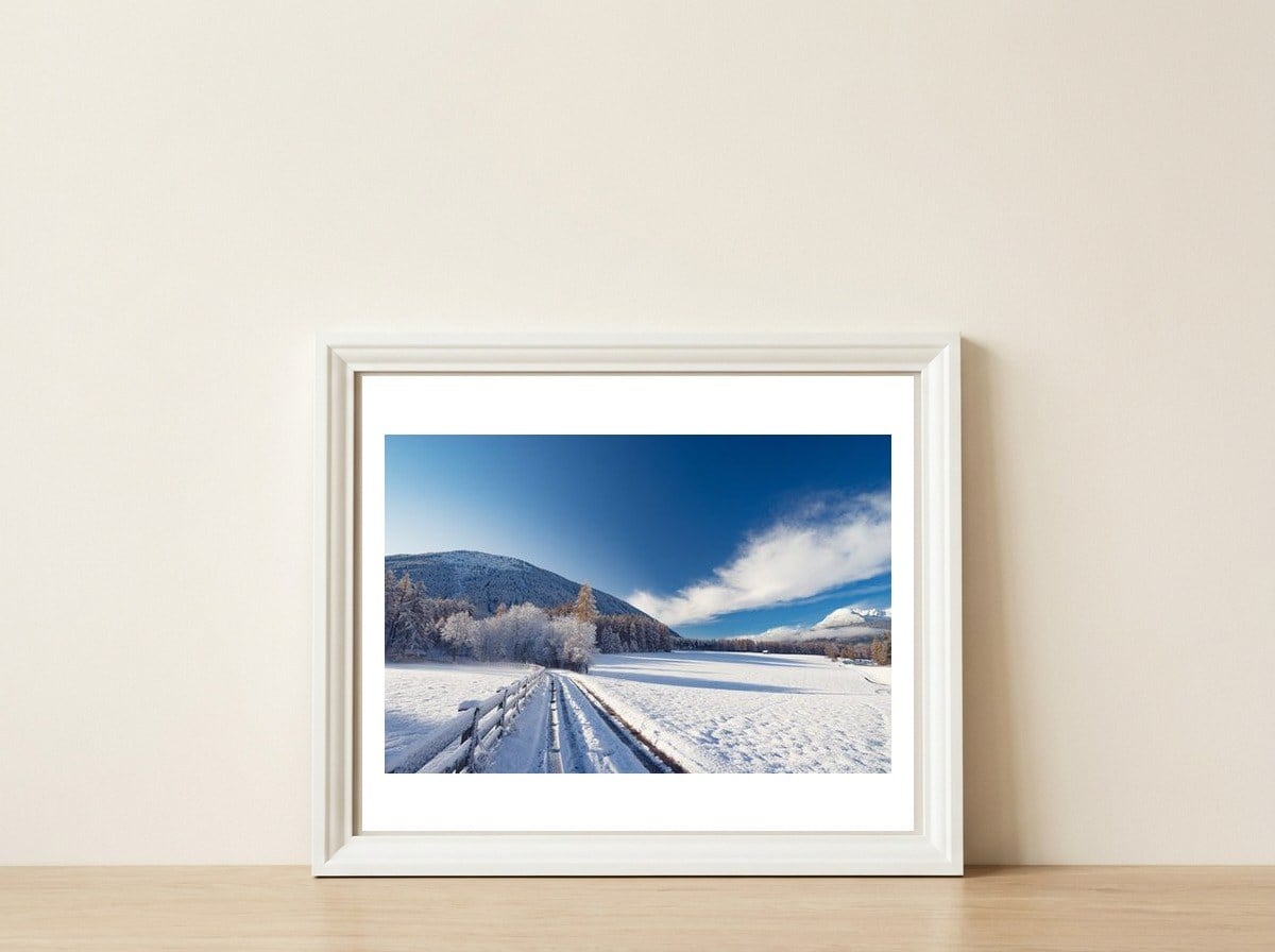 Cobalt — framed, leaning against the wall