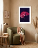 Dark Ruby framed in a tender room thumbnail