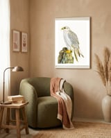 Cc Bird 03 framed in a tender room thumbnail