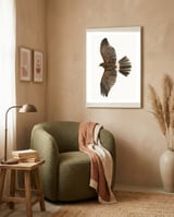 Cc Birds 09 framed in a tender room thumbnail