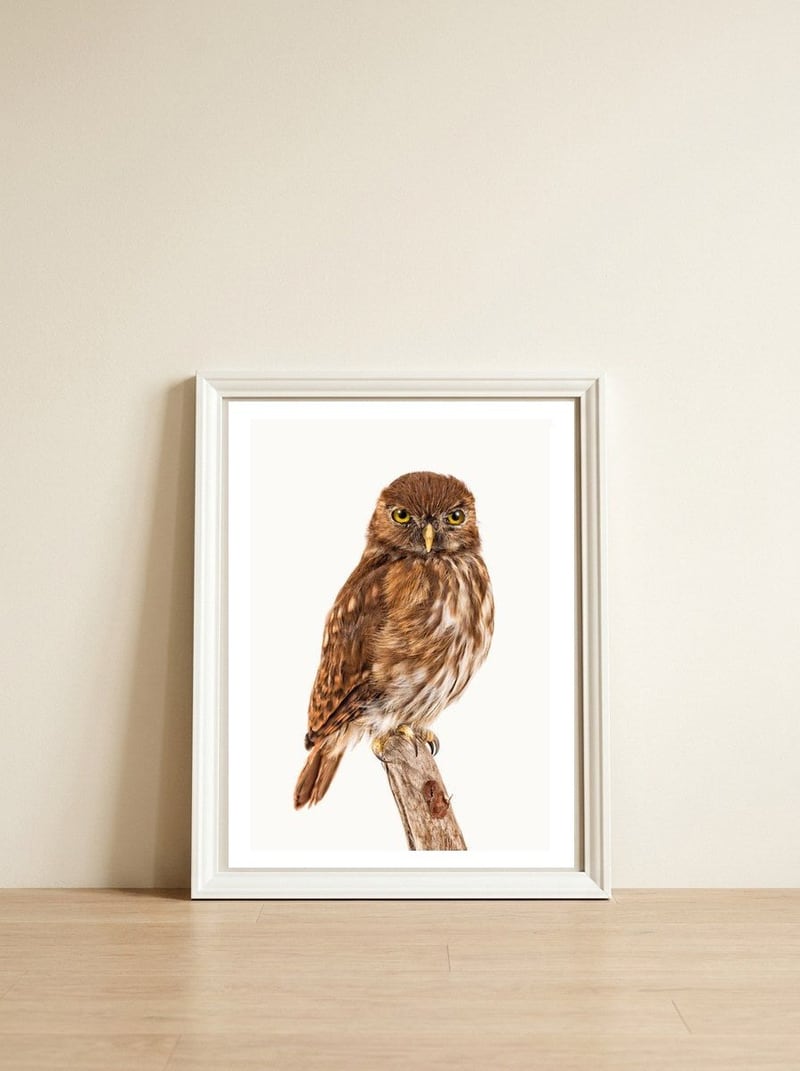 Cc Birds 10 — framed, leaning against the wall