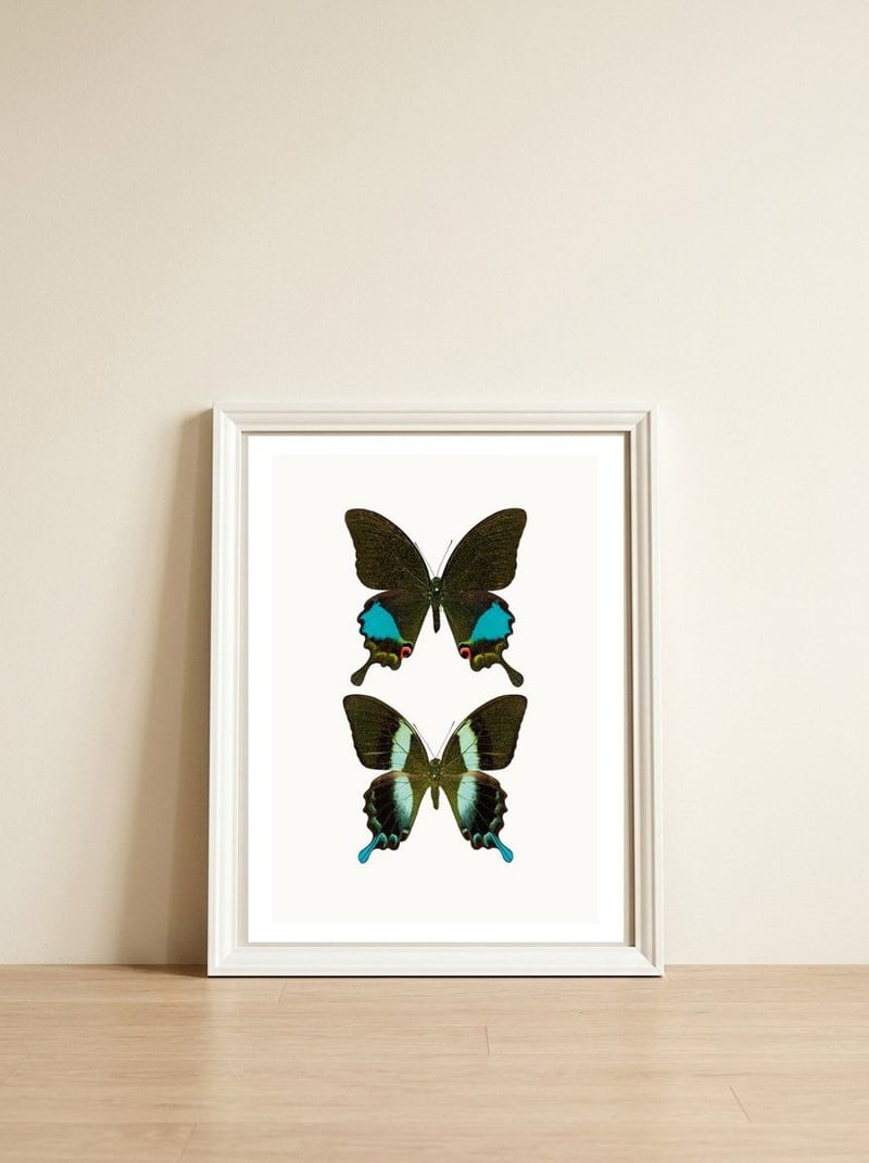 Cc Butterflies 02 — framed, leaning against the wall