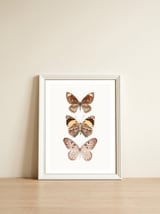 Cc Butterflies 06 — framed, leaning against the wall thumbnail