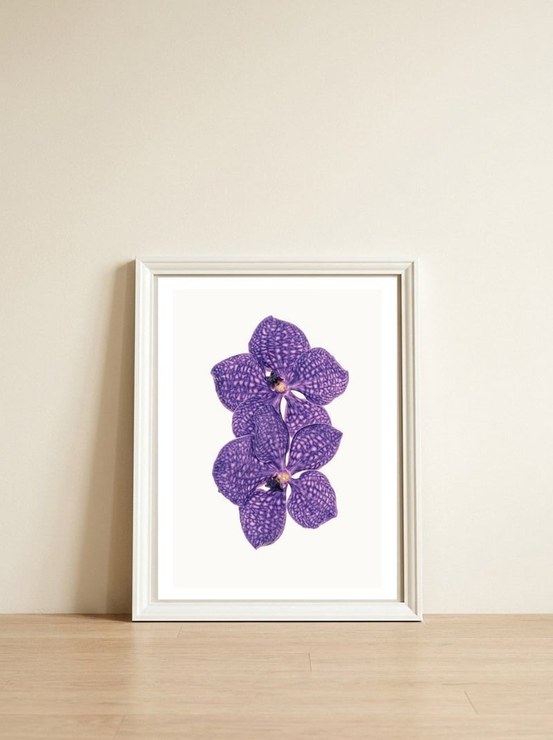 Cc Flower 06 — framed, leaning against the wall