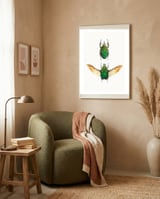 Cc Insects 02 framed in a tender room thumbnail
