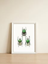 Cc Insects 04 — framed, leaning against the wall thumbnail