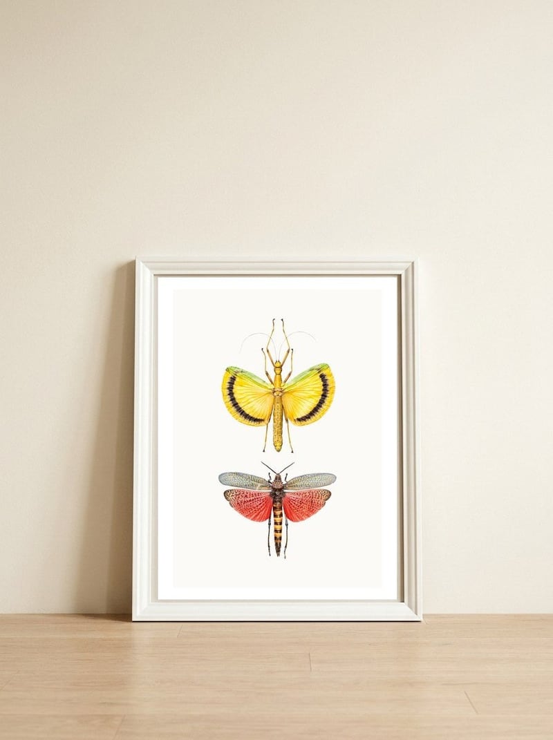 Cc Insects 08 — framed, leaning against the wall
