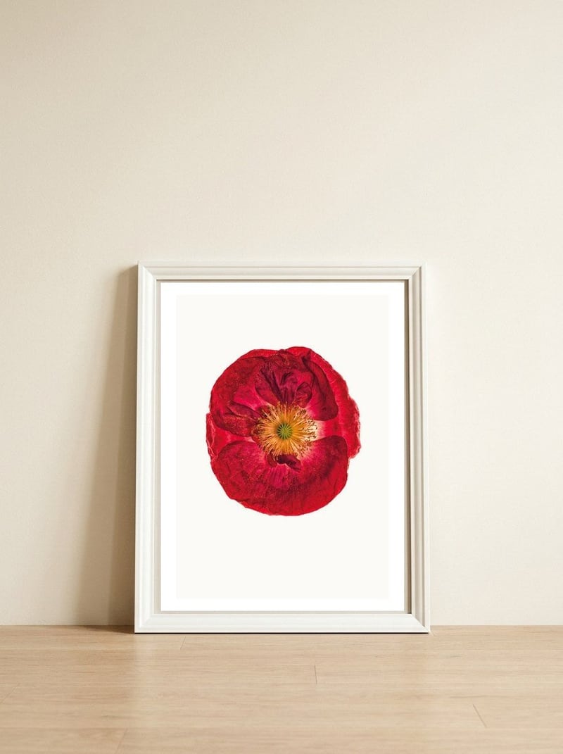 Cc Poppy 03 — framed, leaning against the wall