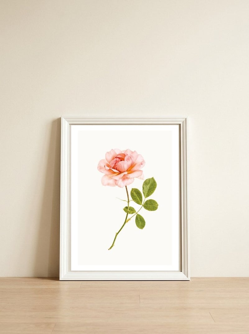 Cc Roses 01 — framed, leaning against the wall