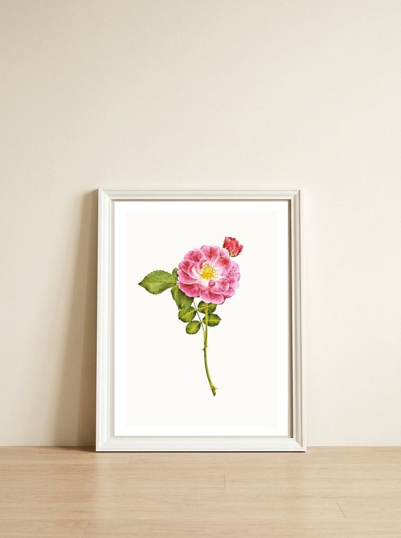 Cc Roses 05 — framed, leaning against the wall