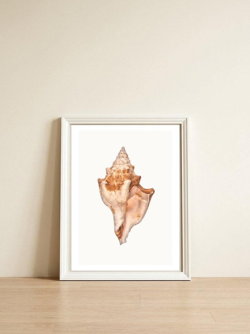 Cc Shell 01 — framed, leaning against the wall
