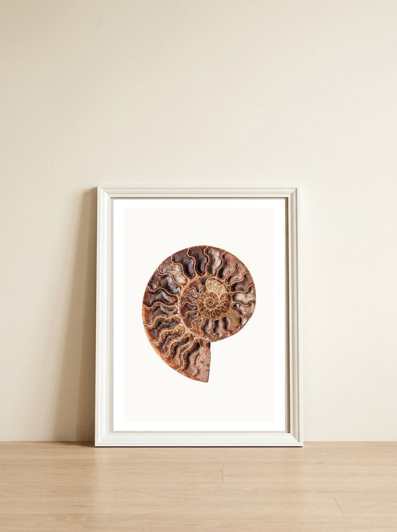 Cc Shell 05 — framed, leaning against the wall