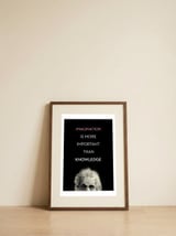 IMAGINATION BY ALBERT EINSTEIN — framed, leaning against the wall thumbnail