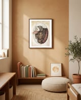 McBison framed in a gentle room thumbnail